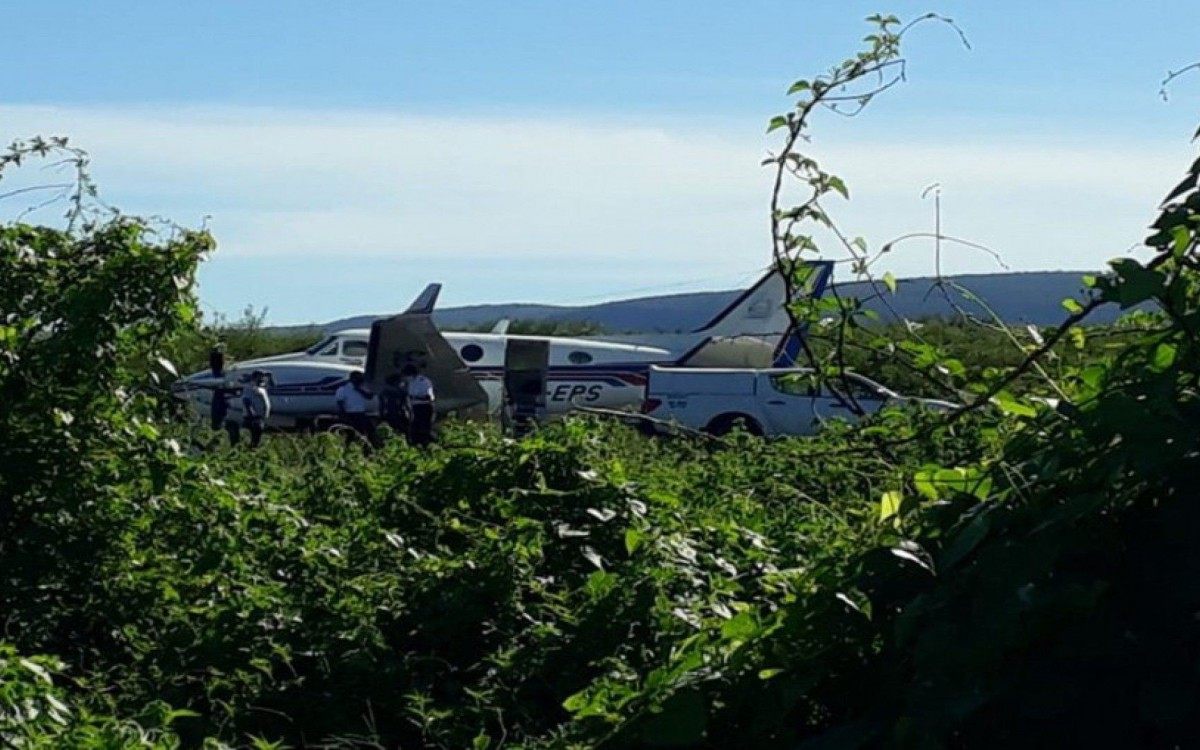 Avião no momento em que já estava pousado se choca com jumento na pista de pouso
