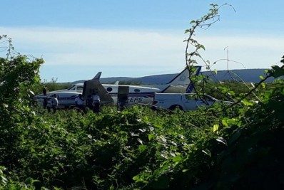 Jumento morre após acidente com avião que transportava doses da covid-19