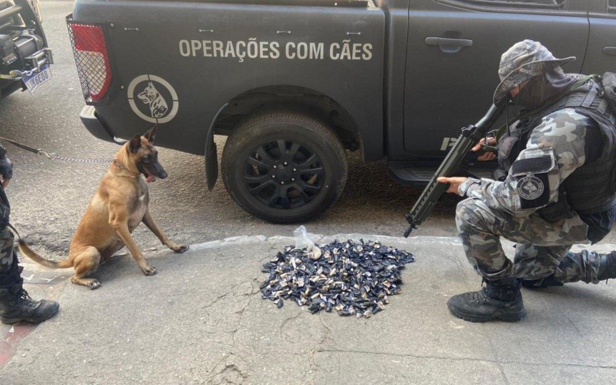 Batalhão de Ações com Cães, em ação no Complexo do Salgueiro, São Gonçalo, encontrou um volume de drogas no terreno onde operavam - Divulgação/PMERJ