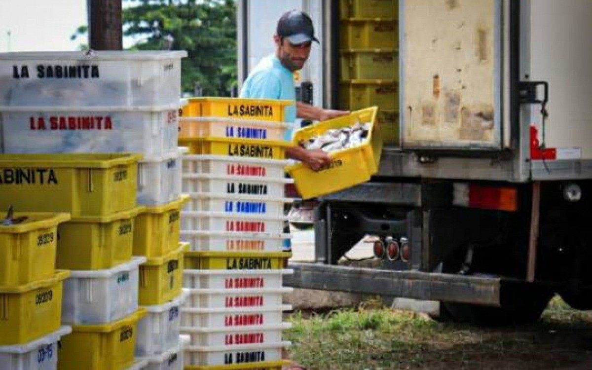 Em fevereiro foram mais de 100 toneladas de peixes