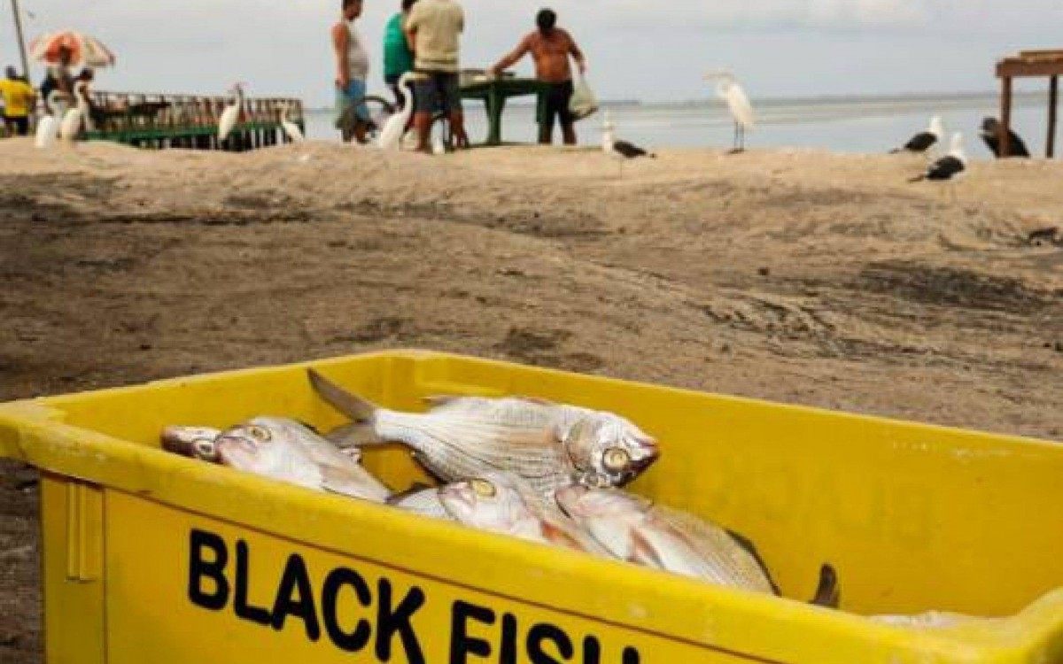 Pescadores comemoram