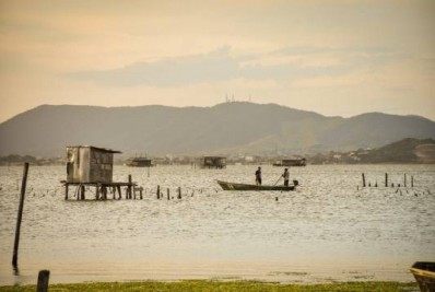 Pescadores comemoram a fartura no pescado na Lagoa de Araruama
