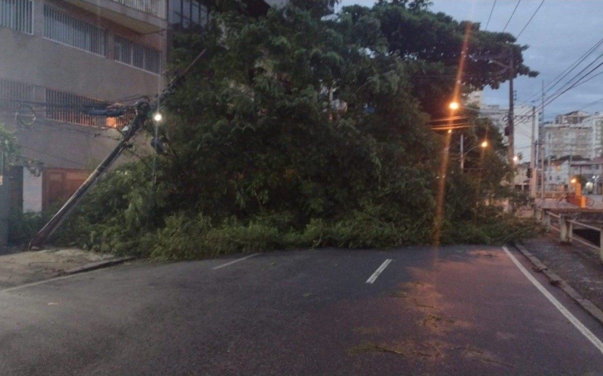 Queda de árvore na Avenida Maracanã, Zona Norte do Rio - Reprodução / Centro de Operações Rio