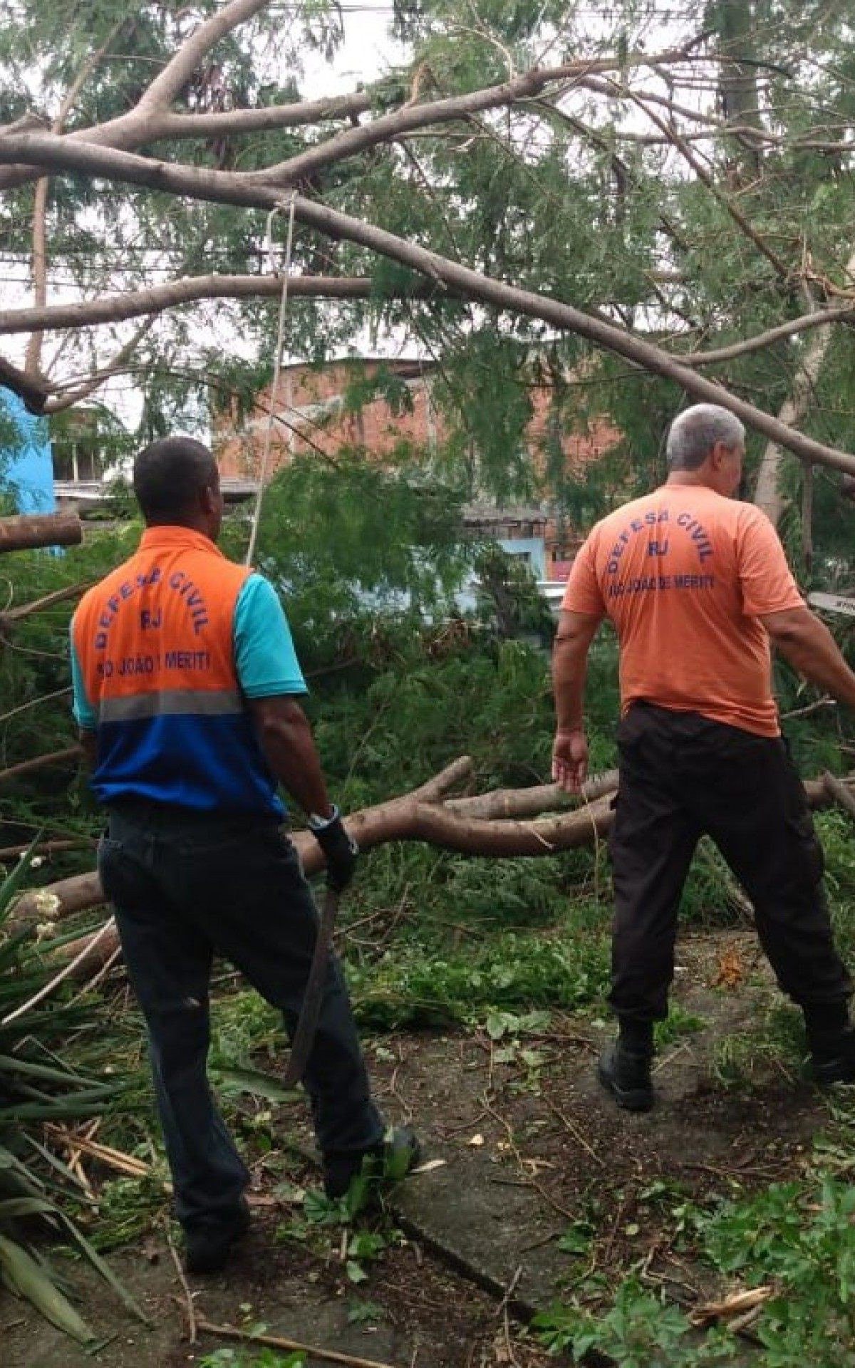 Ap&oacute;s ventania e queda de &aacute;rvores, Defesa Civil realiza trabalho emergencial em Meriti