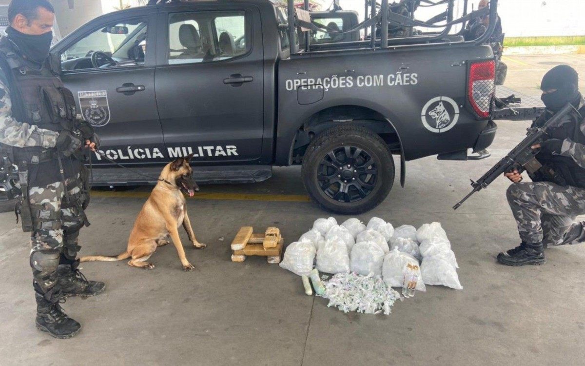 Polícia apreende drogas durante operação no Morro da Serrinha, em Madureira