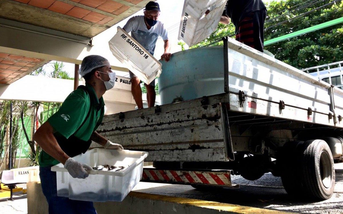 Mesa Brasil Sesc RJ distribui 6 toneladas de pescado na Regi&atilde;o Metropolitana

