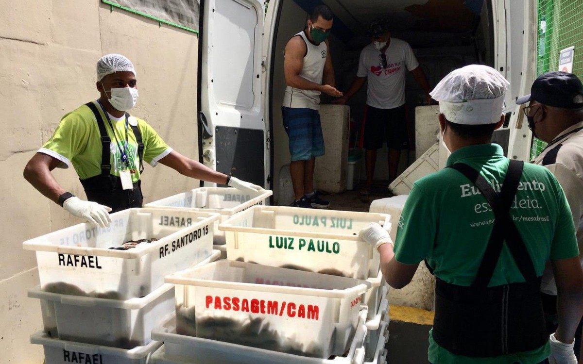 Mesa Brasil Sesc RJ distribui 6 toneladas de pescado na Regi&atilde;o Metropolitana

