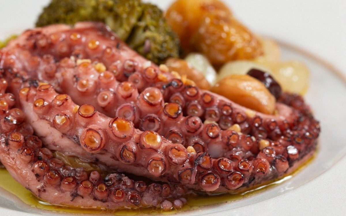 
Ap&oacute;s perder o emprego na pandemia, o chef Diogo Brasil criou a Tasca na M&atilde;o, delivery de comida portuguesa, e faz sucesso com comidas caseiras.