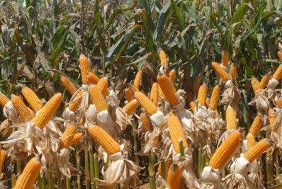 Inflação medida pelo IGP-DI desacelera e fica em 0,62% em junho