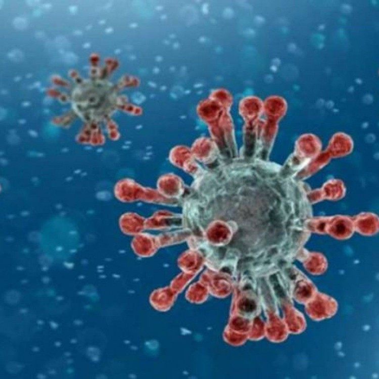  Pr&ecirc;mio C&eacute;sar &eacute; o mais importante do cinema franc&ecirc;s