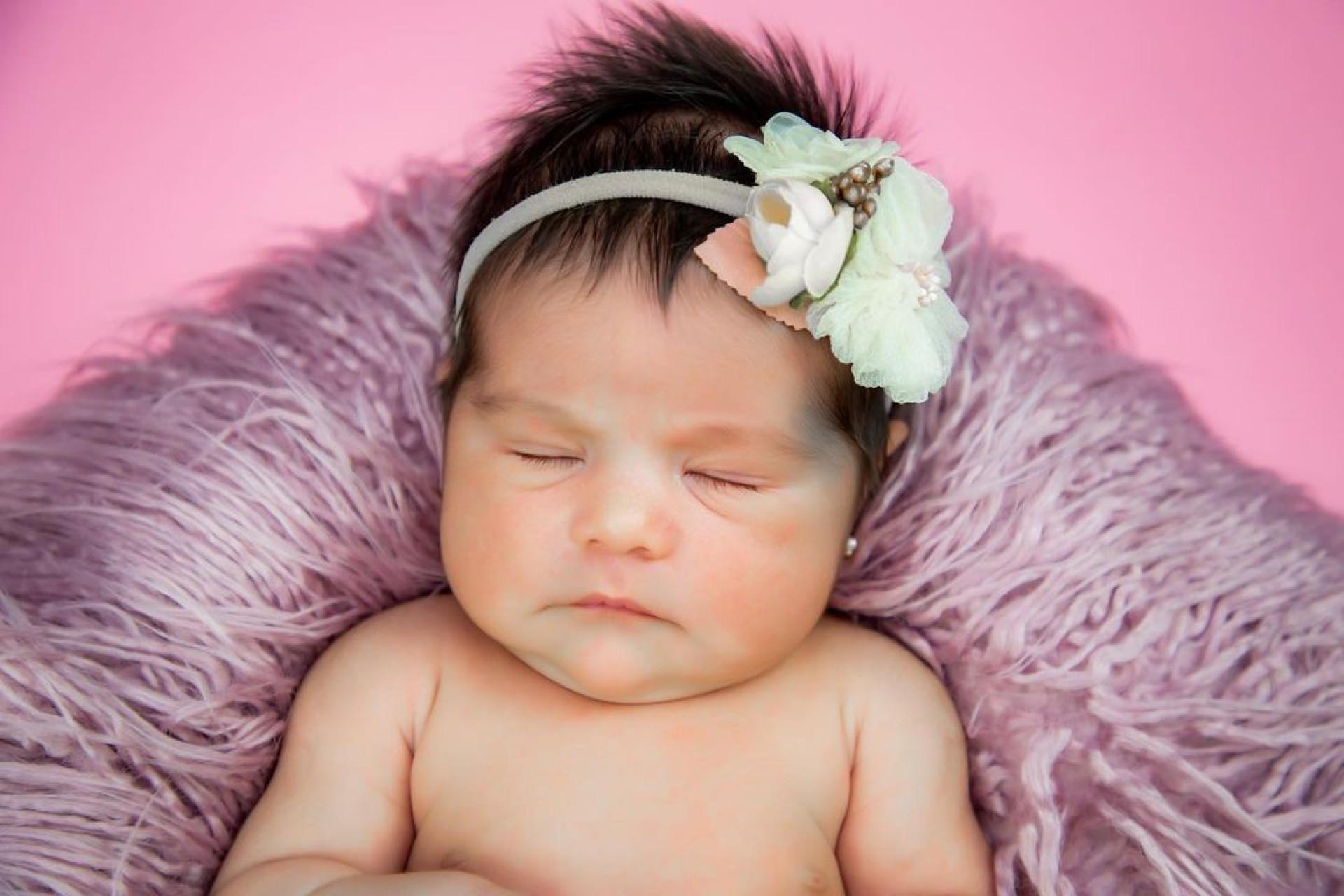 Zaya - Reprodu&ccedil;&atilde;o