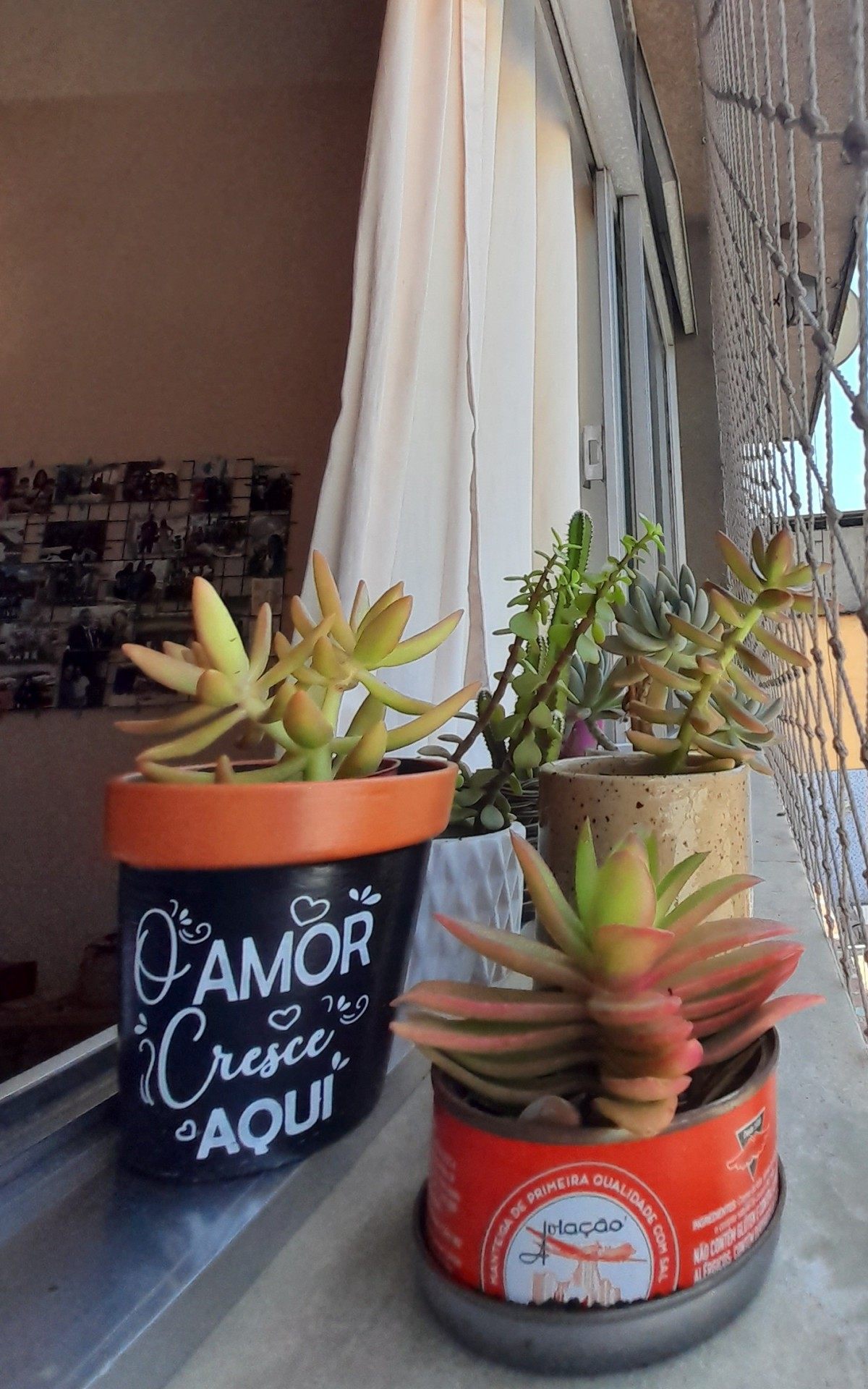  Plantas tomam cada vez mais conta da casa. Suculentas na janela. Foto para a cr&ocirc;nica "O verde da esperan&ccedil;a", de Ana Carla Gomes