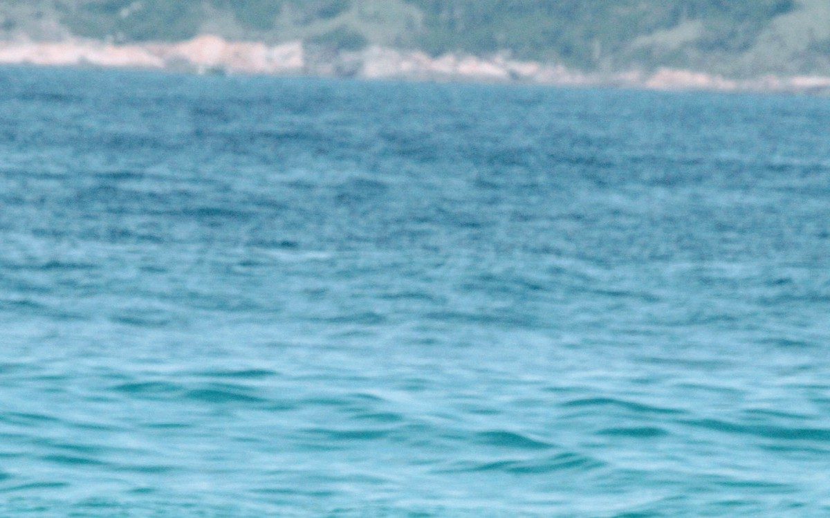 Jesus Luz e Carol Ramiro namoram na Praia do Leblon, na Zona Sul do Rio, nesta quinta-feira