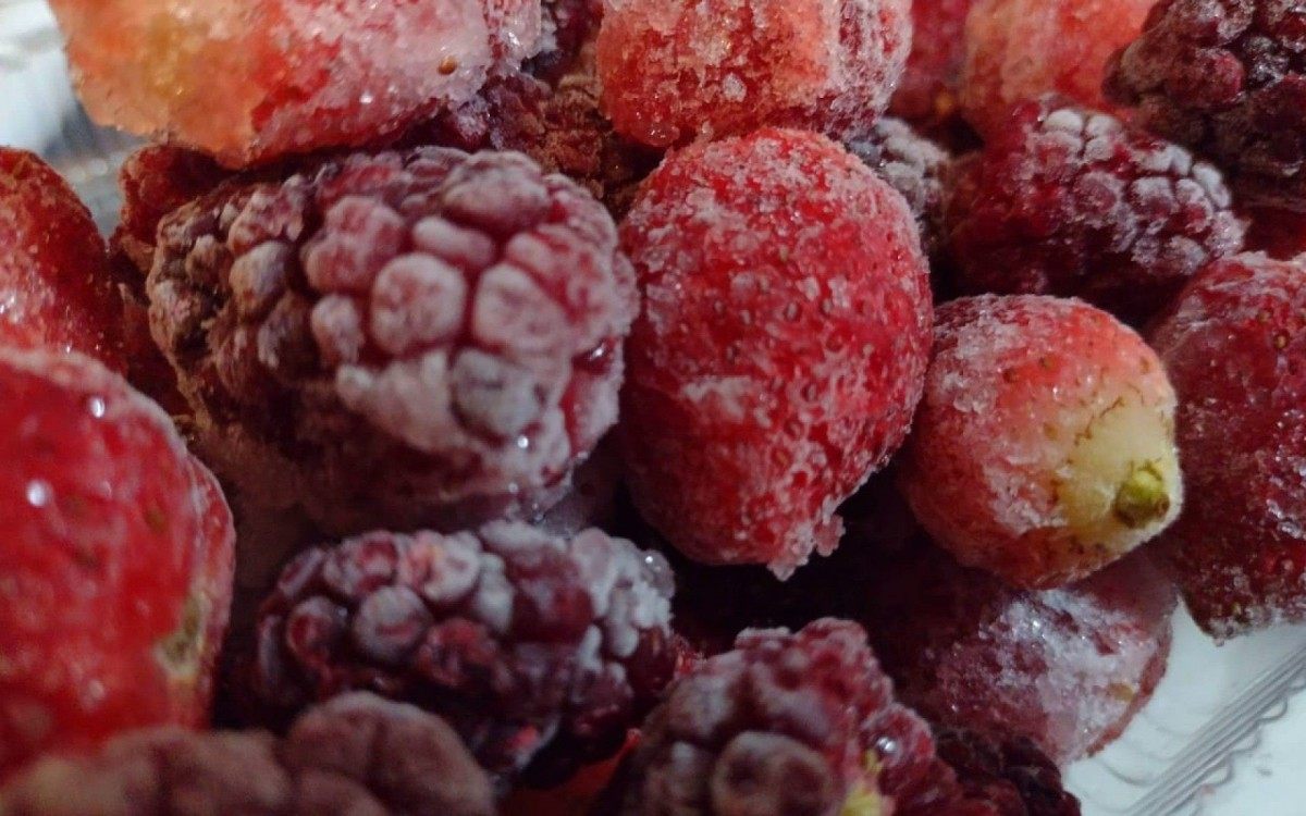 Pequeno produtores de Caxias e agricultores familiares que trabalham com cultivo de alimentos sem o uso de agrot&oacute;xicos participam de evento