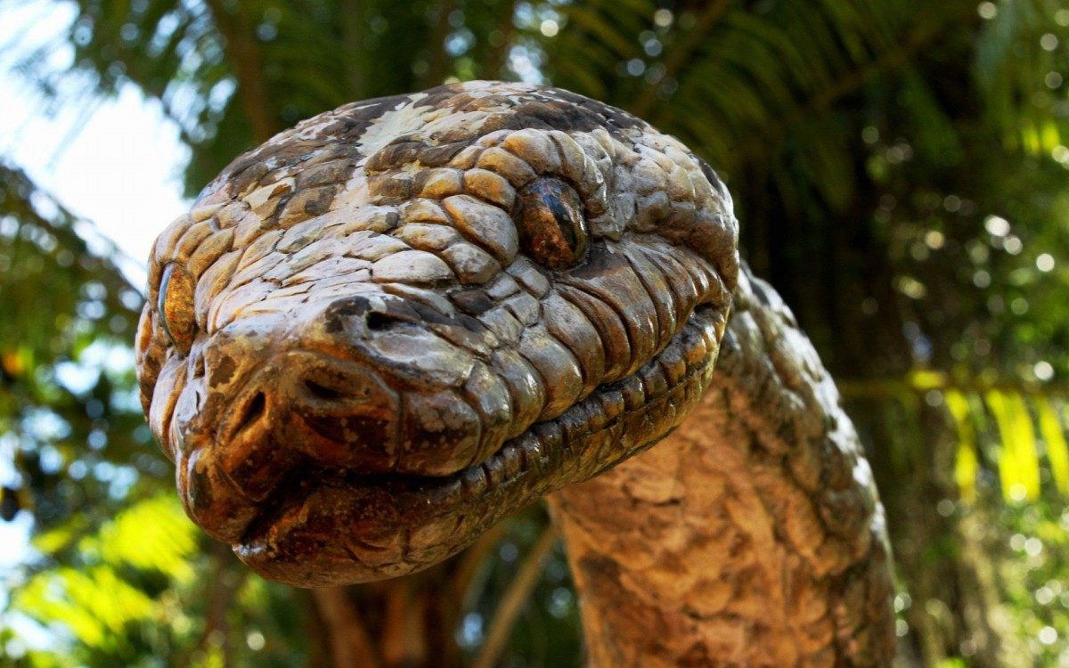 BioParque do Rio, na Quinta da Boa Vista, tem mais de mil animais - Estefan Radovicz / Agencia O Dia