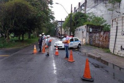 Árvore cai na Barão do Rio Branco e interdita trânsito