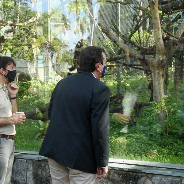 Prefeito Eduardo Paes Inaugura o BioParque do Rio, na Quinta da Boa Vista. - Estefan Radovicz / Agencia O Dia
