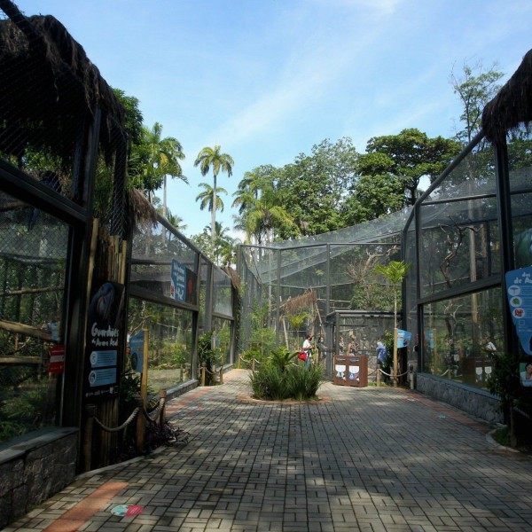 Prefeito Eduardo Paes Inaugura o BioParque do Rio, na Quinta da Boa Vista. - Estefan Radovicz / Agencia O Dia