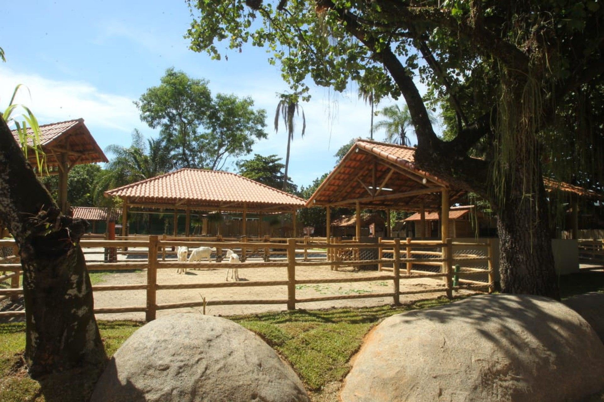 Paes anuncia inauguração do BioParque - Estefan Radovicz / Agência O DIA