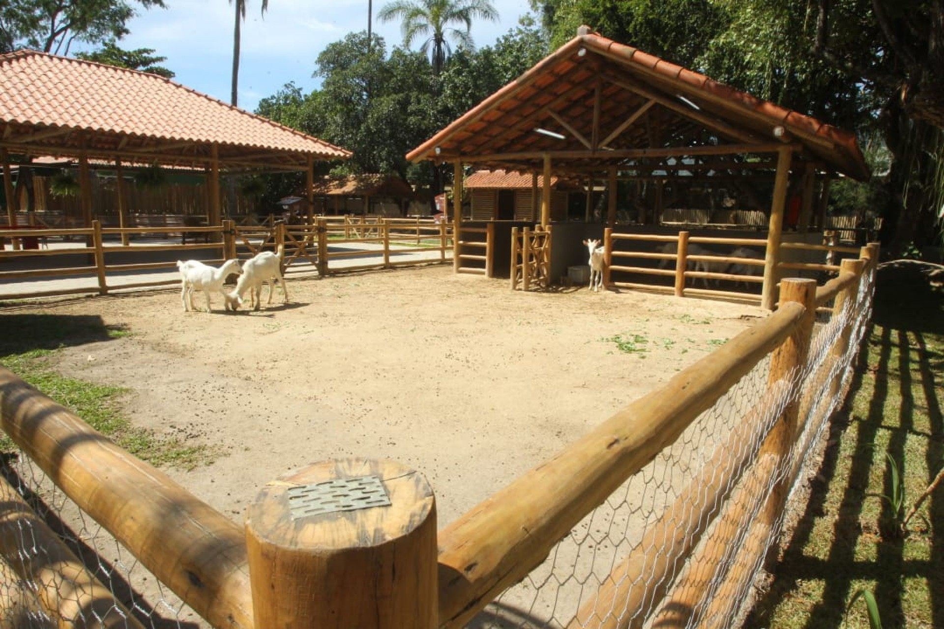 Paes anuncia inauguração do BioParque - Estefan Radovicz / Agência O DIA