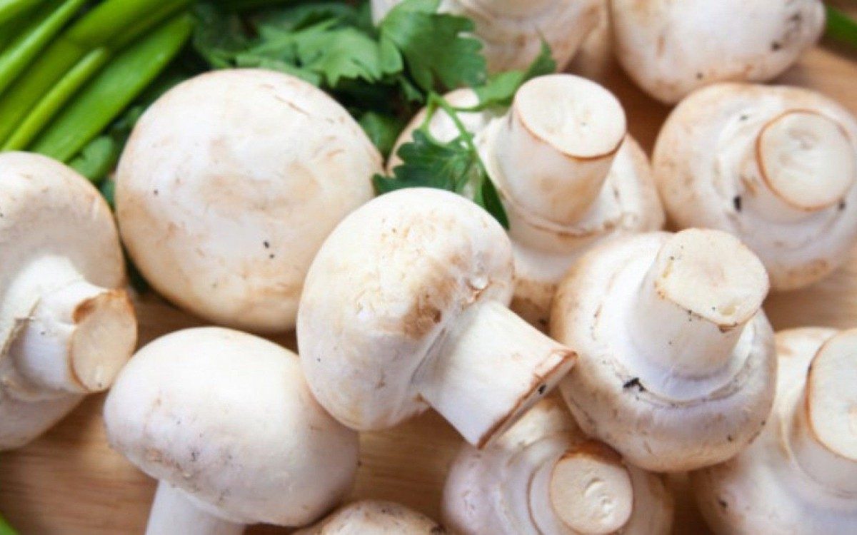 O lote 270 da La Violetera tem excesso de di&oacute;xido de enxofre e pode causar dores de cabe&ccedil;a e abdominais
