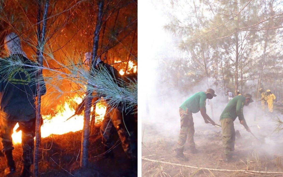 Dimens&atilde;o das &aacute;reas atingidas pelo fogo n&atilde;o foi informada