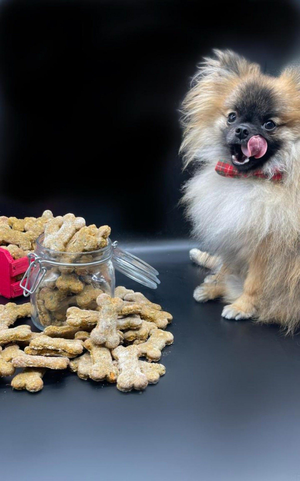 Chef Fl&aacute;vio Duarte ensina a receita pr&aacute;tica, saborosa e saud&aacute;vel para fazer em casa e agradar seu melhor amigo

