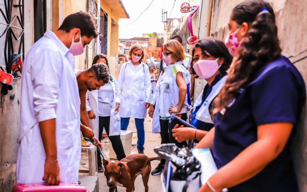 Campanha de vacina&ccedil;&atilde;o em casa para protetores e cuidadores que tenham 10 ou mais animais