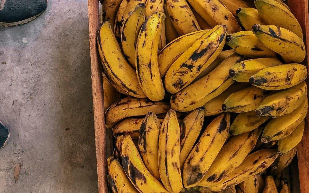 O minist&eacute;rio tamb&eacute;m disponibilizou uma lista com os nomes dos agricultores que tiveram o benef&iacute;cio bloqueado