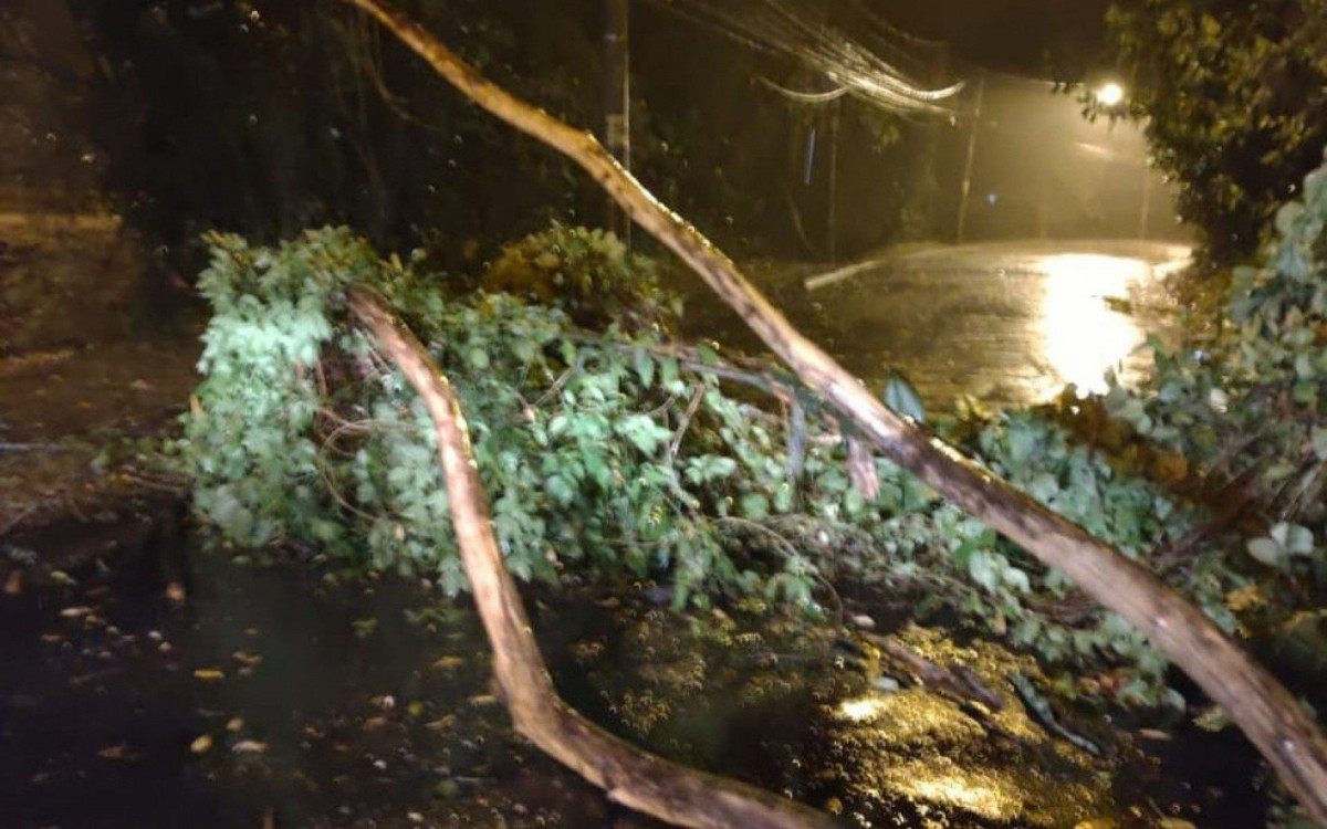 Temporal no Rio registra queda de &aacute;rvores, ventania e at&eacute; chuva de granizo