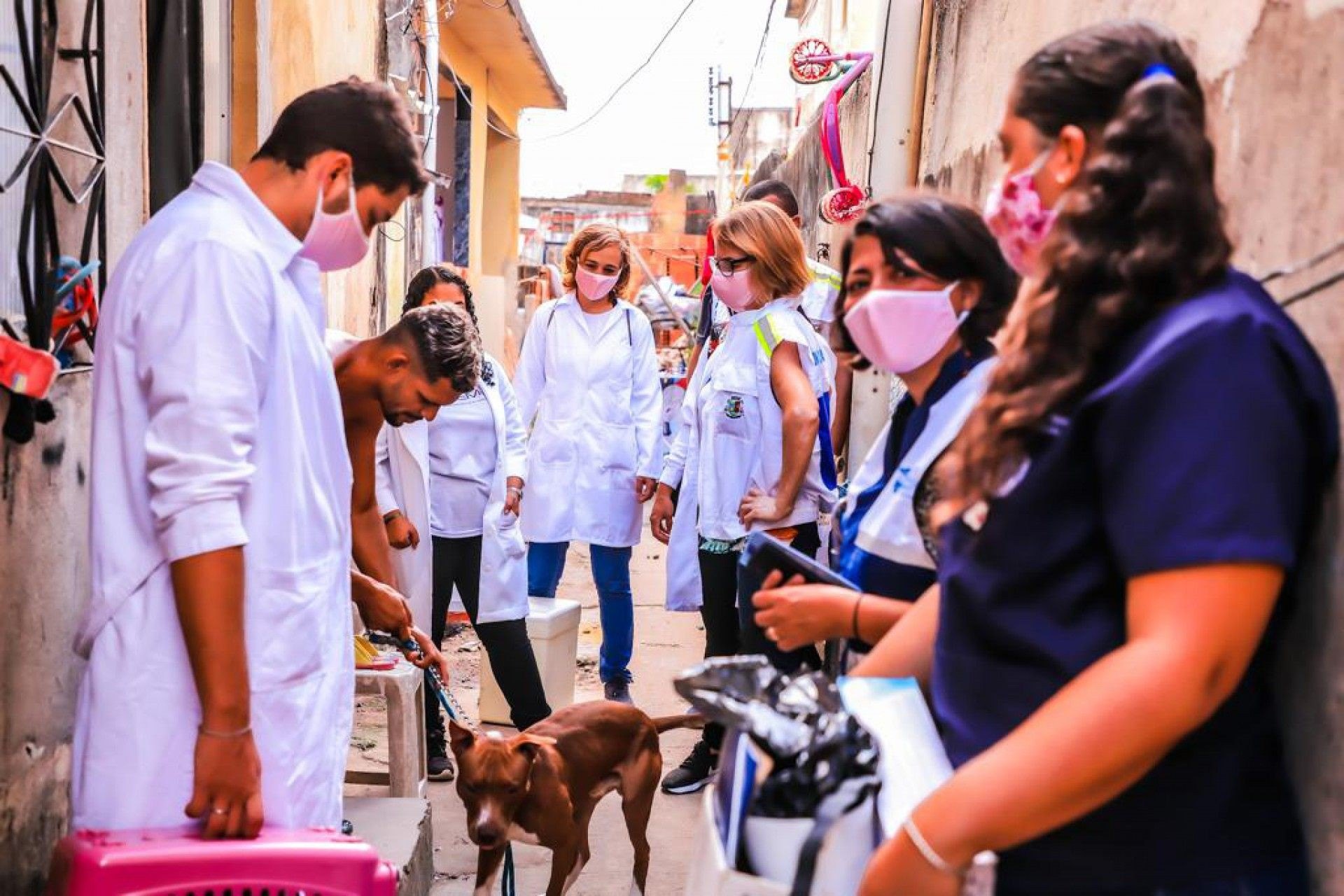 Campanha de vacinação em casa para protetores e cuidadores que tenham 10 ou mais animais - PMSJM