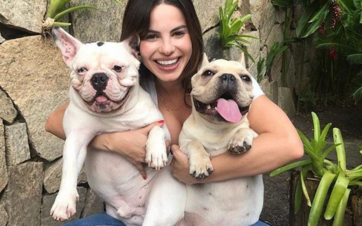 Para Sthefany Brito seus c&atilde;ezinhos s&atilde;o parte fundamental da fam&iacute;lia
Fonte: Canal do Pet - iG 