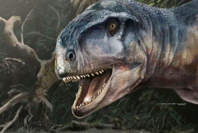 Ascensão dos dinossauros é explicada por excrementos fossilizados