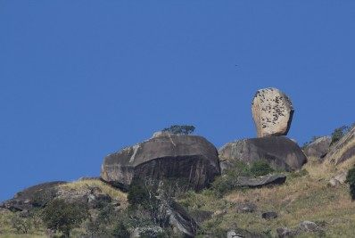 Crimes contra fauna nos parques estaduais