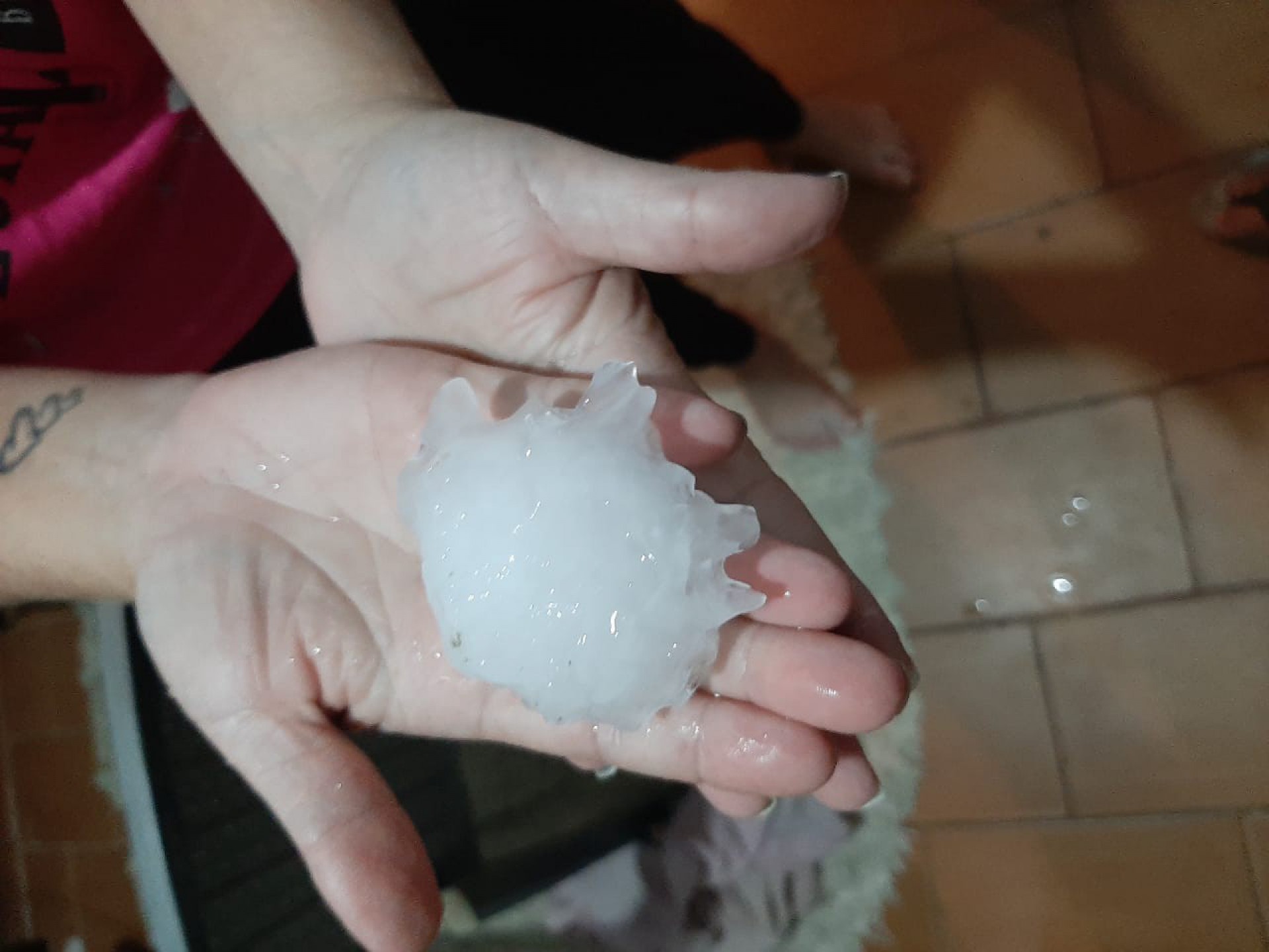 Natividade: Mais de 100 casas atingidas por temporal com granizo na zona rural; Assista