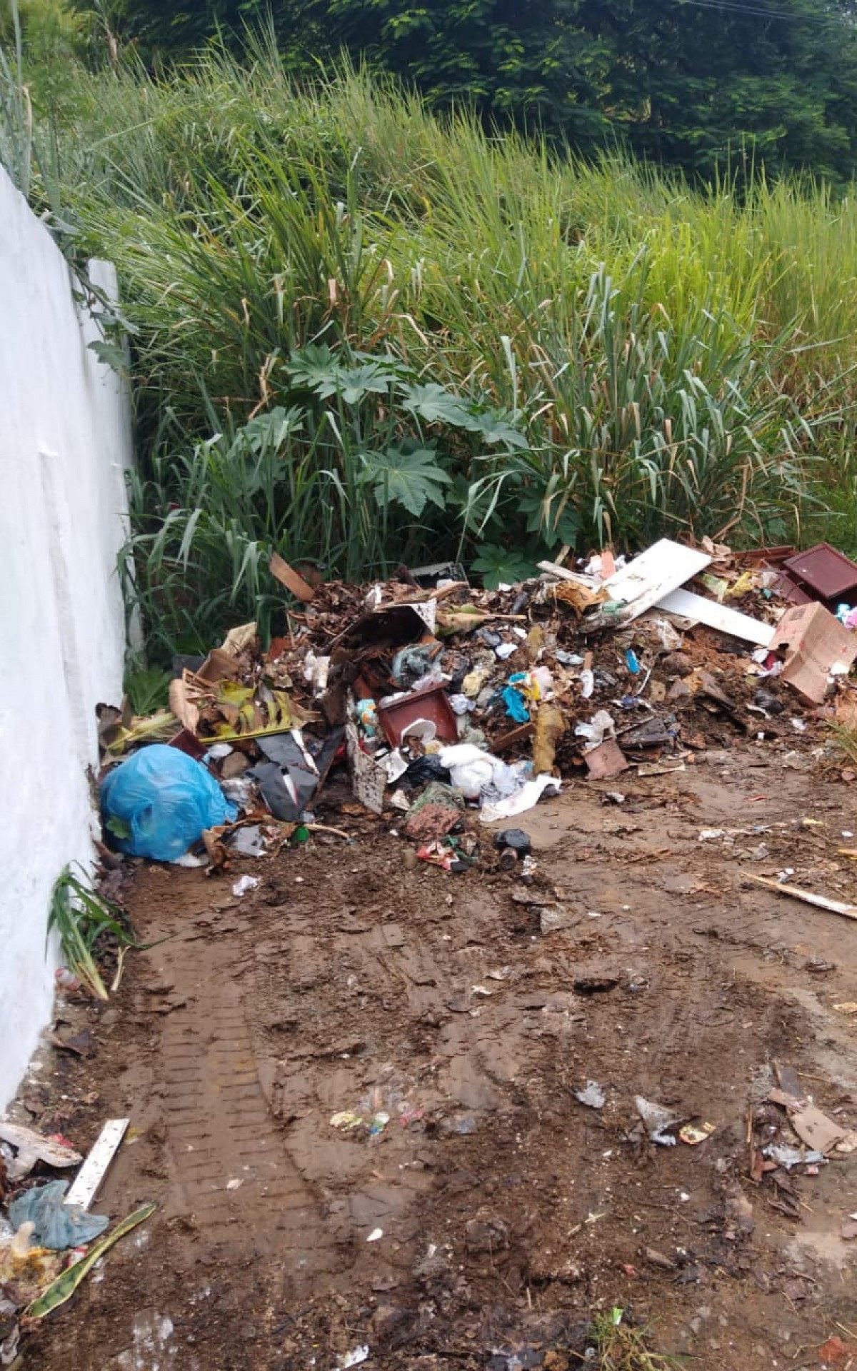 Projeto Reconstruindo VR contribui com a&ccedil;&atilde;o de sa&uacute;de p&uacute;blica