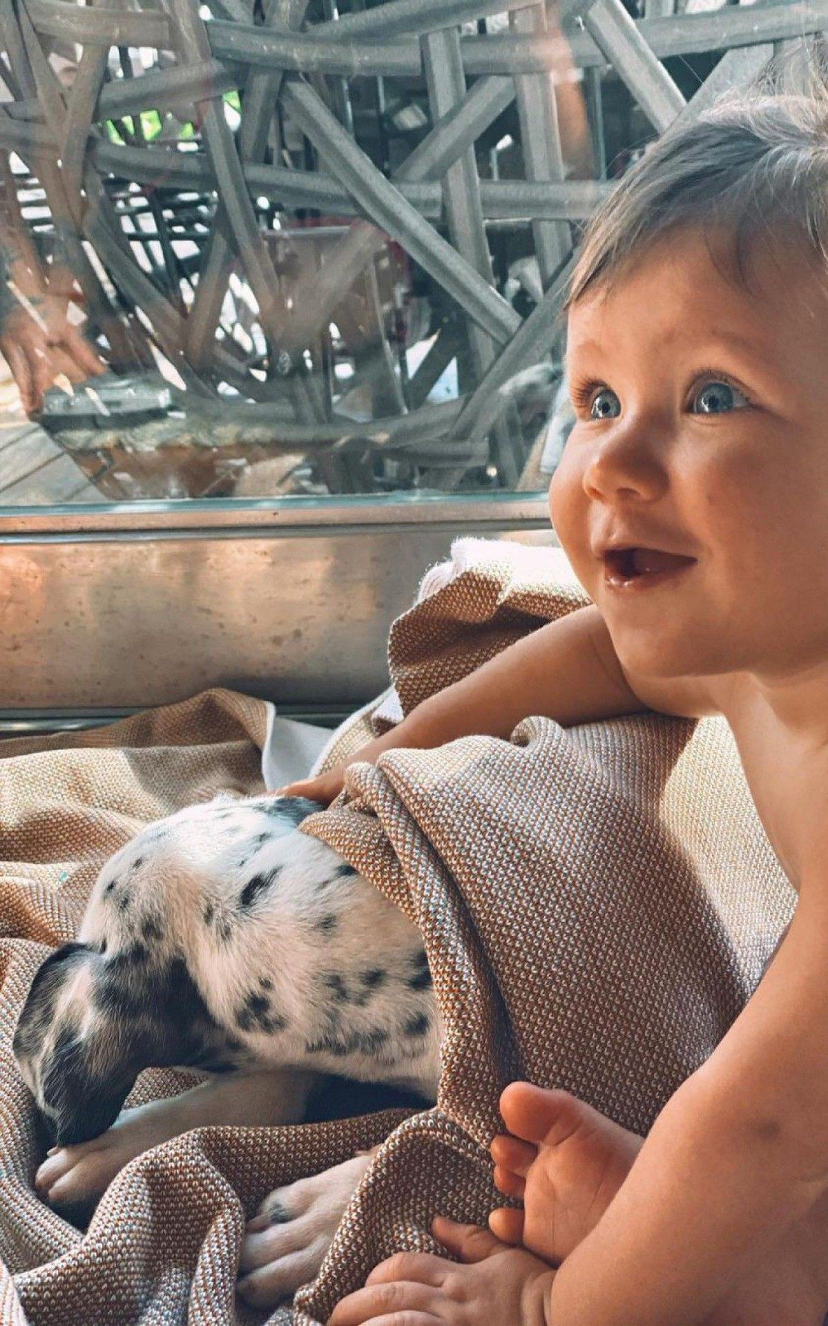 Bruno Gagliasso d&aacute; cachorro aos filhos T&iacute;ti, Bless e Zyan