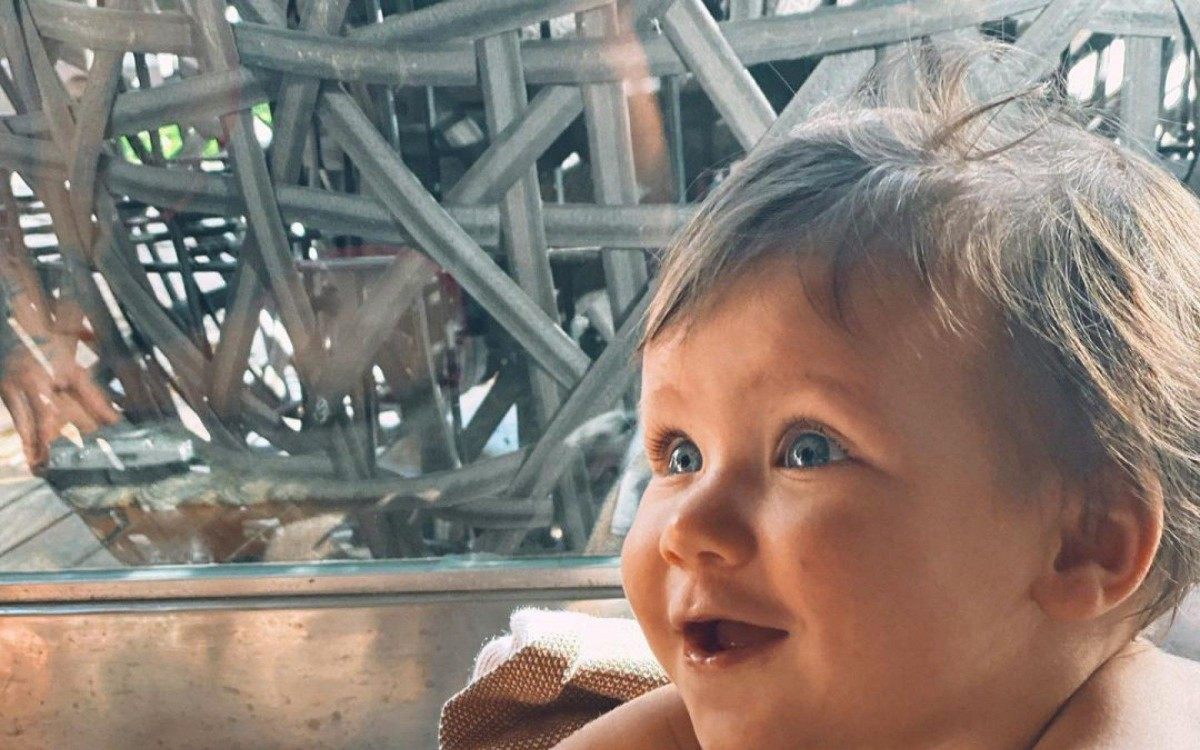 Bruno Gagliasso dá cachorro aos filhos Títi, Bless e Zyan