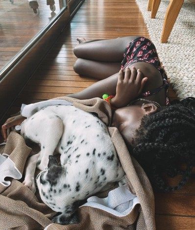 Bruno Gagliasso dá cachorro aos filhos TÃti, Bless e Zyan - Reprodução