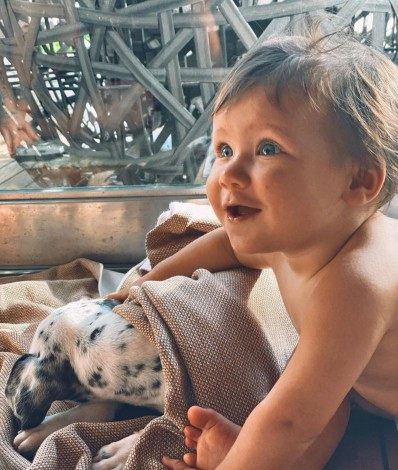 Bruno Gagliasso dá cachorro aos filhos Títi, Bless e Zyan - Reprodução