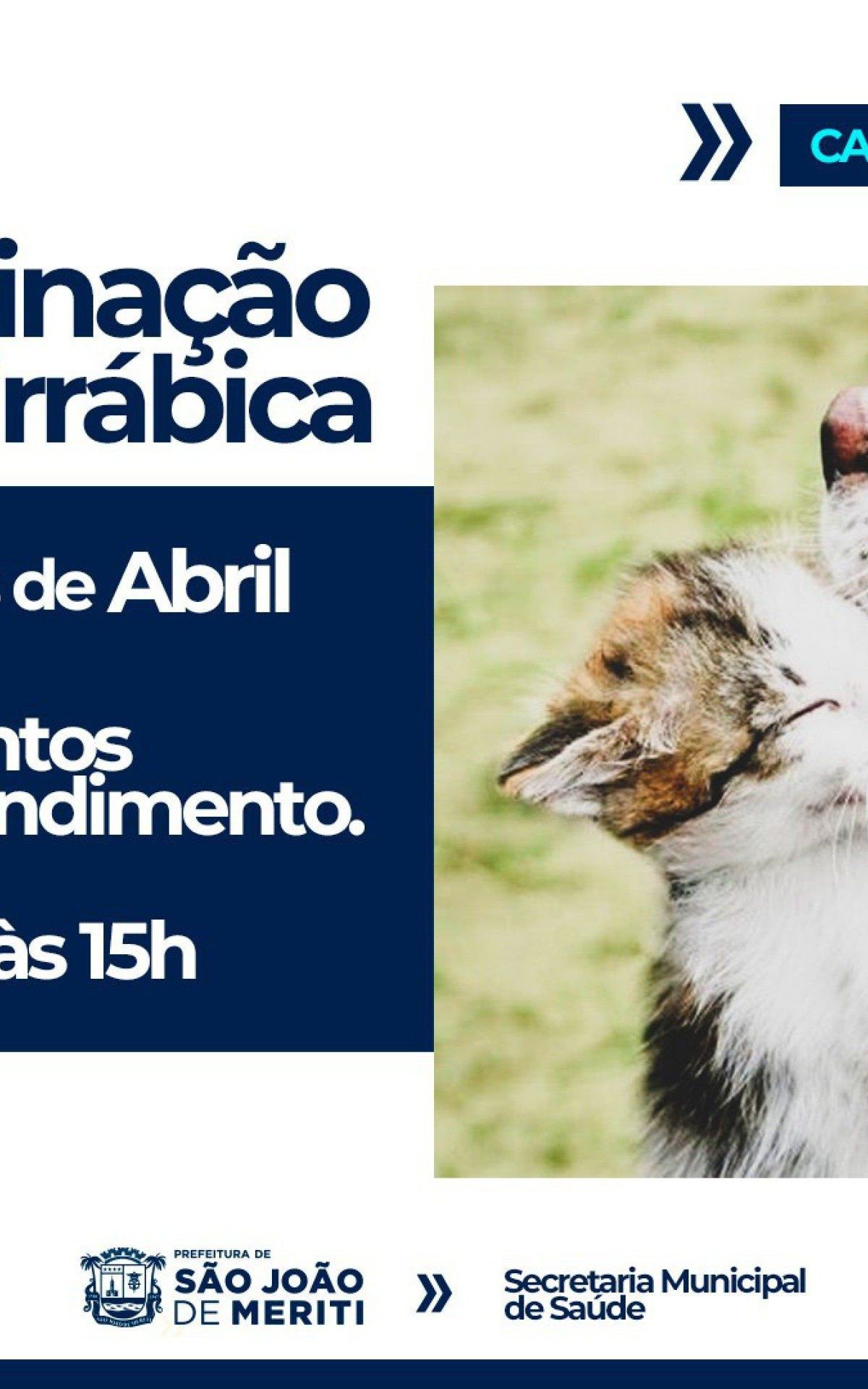 Tr&ecirc;s bairros de Meriti recebem a Campanha de vacina&ccedil;&atilde;o antirr&aacute;bica este m&ecirc;s