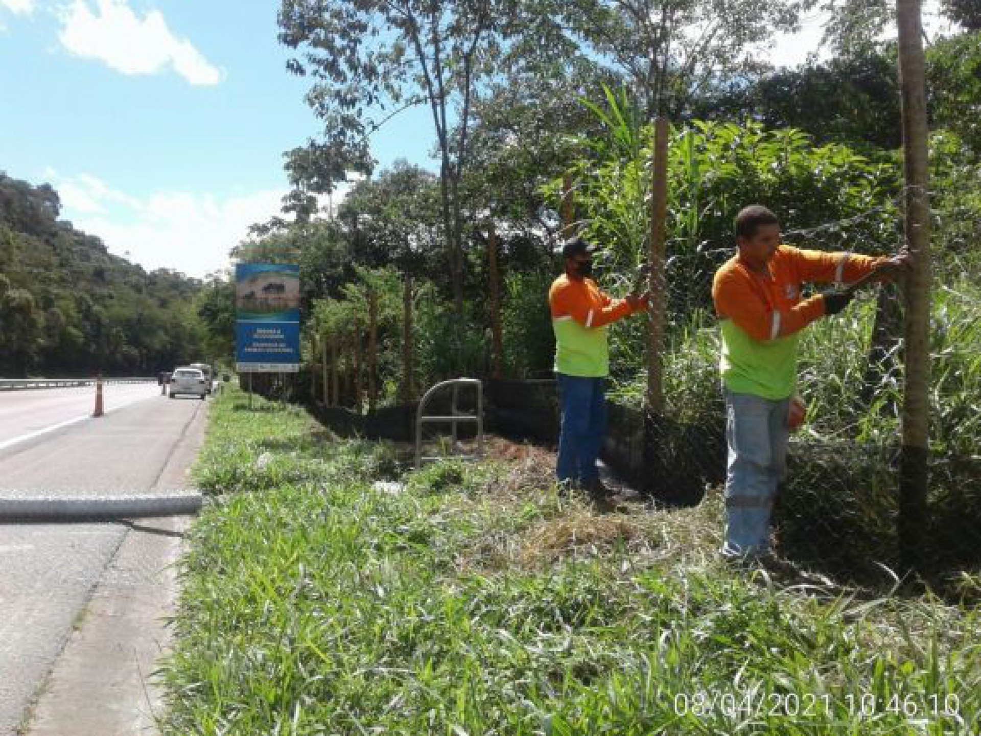 Concer amplia cercas de prote&ccedil;&atilde;o para fauna silvestre na BR-040