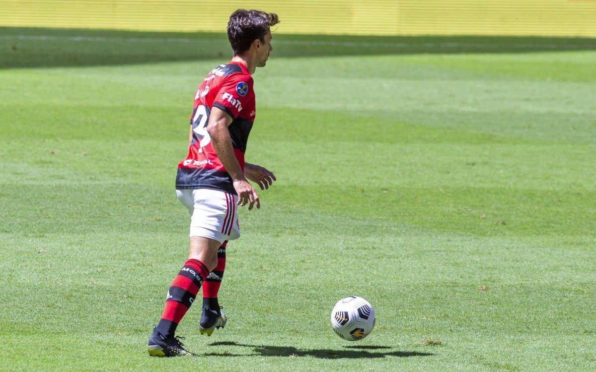 Flamengo e Palmeiras