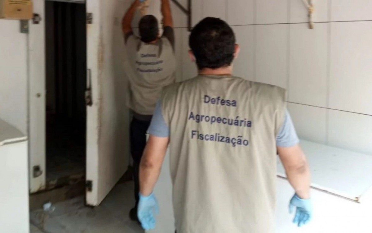 Opera&ccedil;&atilde;o descarta mais de 700 kg de carne impr&oacute;pria pra consumo em Caxias