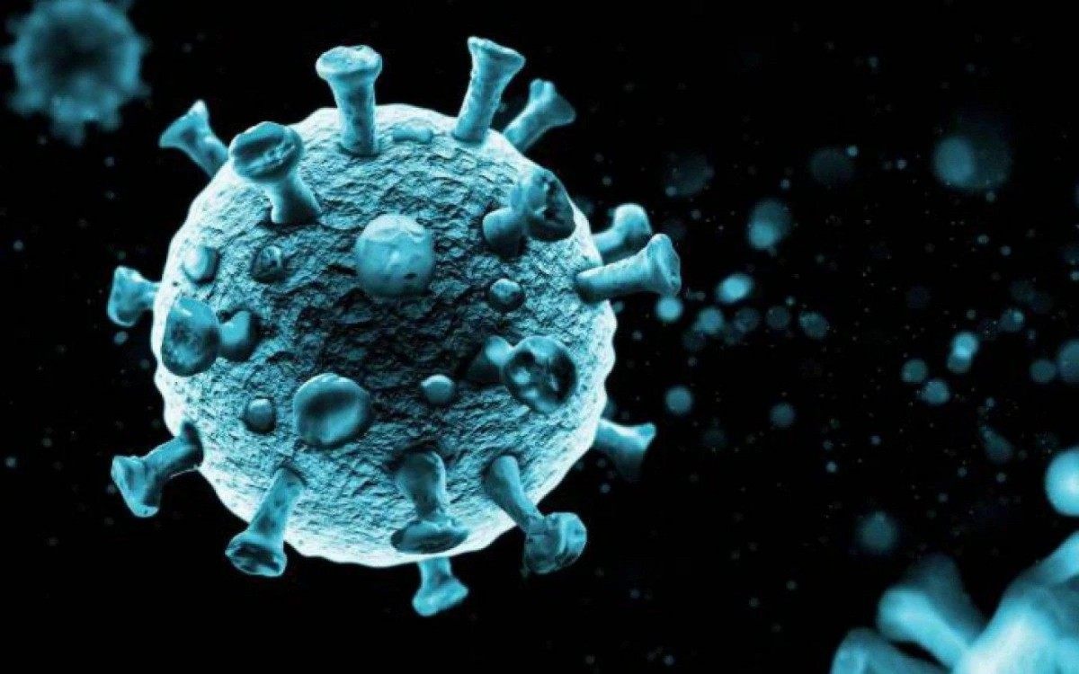 Boletim desta sexta-feira (15)