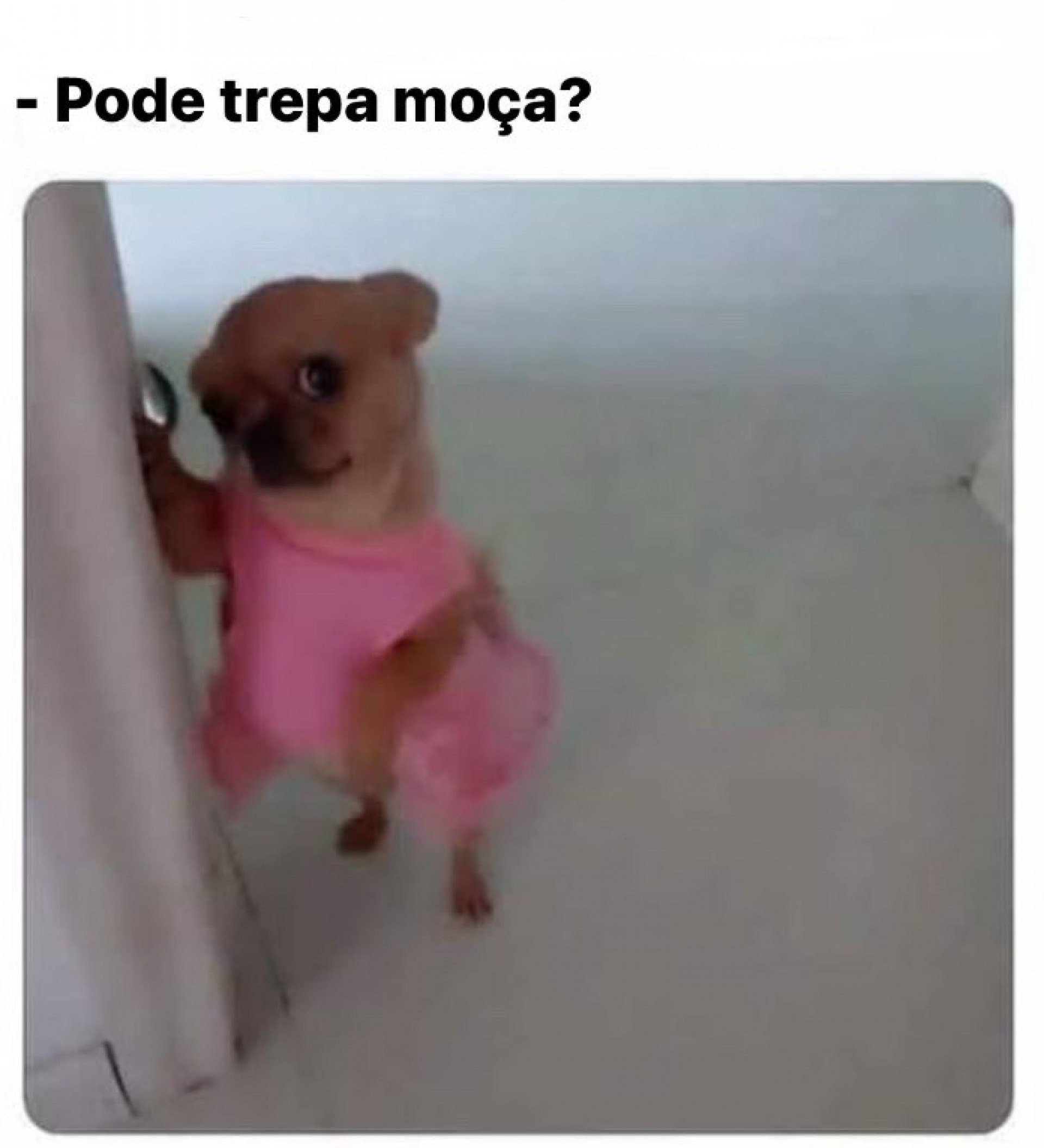 Memes sobre o surubão do Airbnb - Reprodução