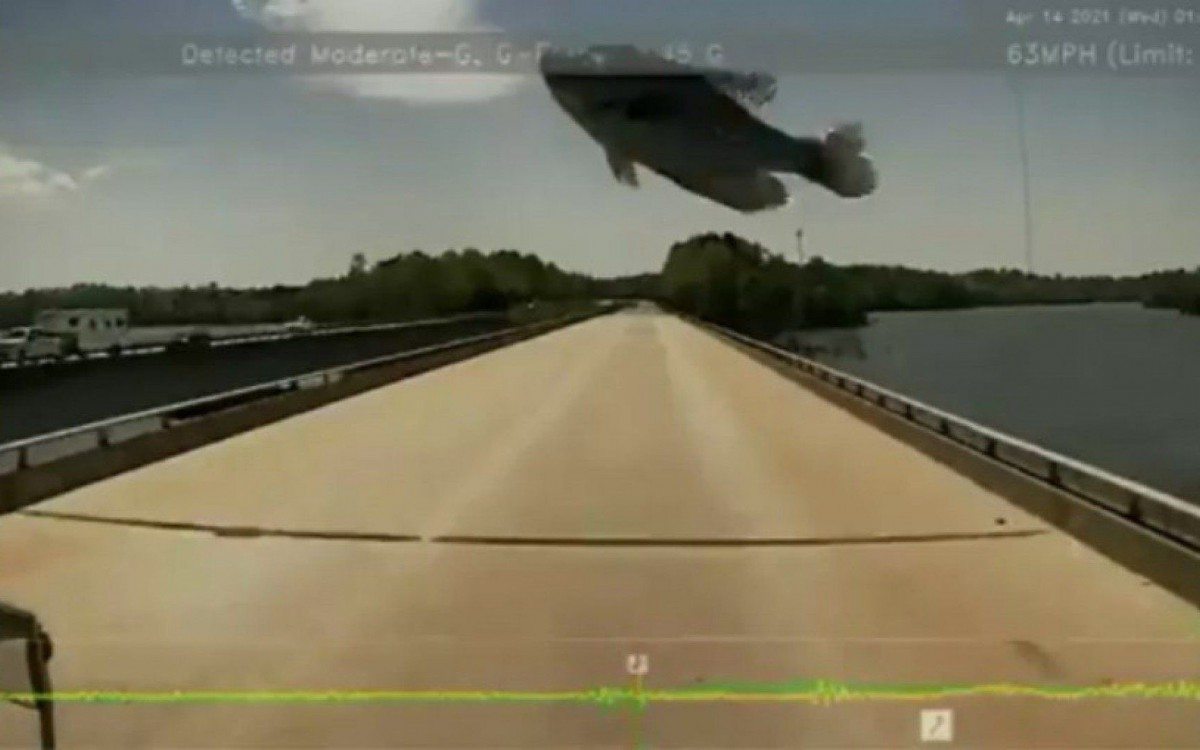 P&aacute;ssaro deixou o peixe cair no vidro frontal de um caminh&atilde;o