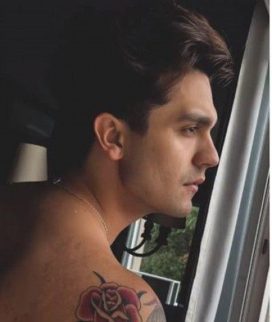 Luan Santana mostra nova tatuagem aos fãs - Reprodução