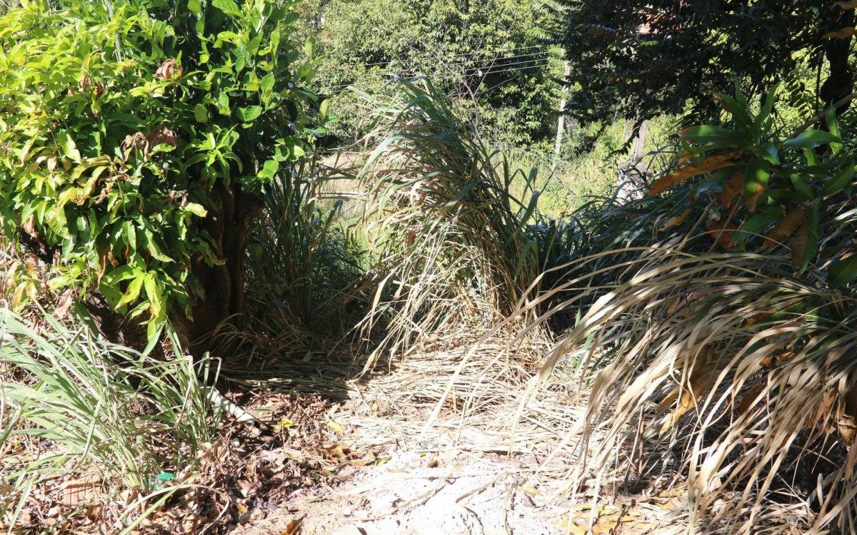 Barranco onde m&atilde;e e crian&ccedil;a foram jogadas