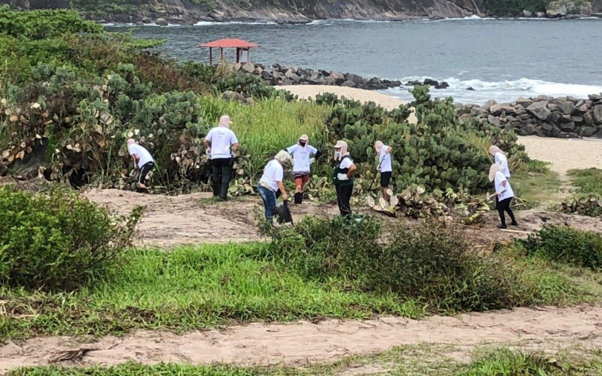 Iniciativa faz parte do conjunto de a&ccedil;&otilde;es que comp&otilde;em o programa Niter&oacute;i Mais Verde
